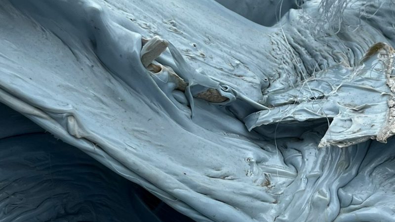 PET LUMPS LIGHT BLUE