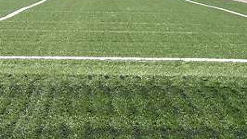 campo